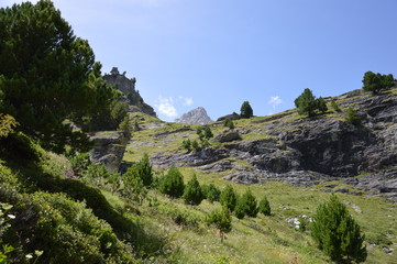 Fototapeta na wymiar Au coeur des Alpes