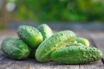 cucumbers on the wooden table