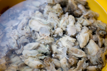 Oyster basket at the seafood market in Korea