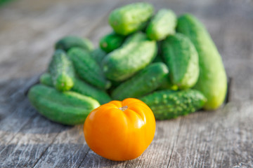 cucumbers and one tomato on the wooden table