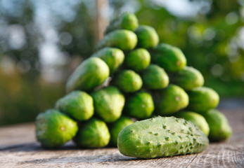 cucumbers on the wooden table