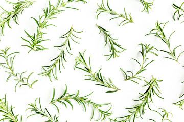 Green branchs and leaves of rosemary isolated on a white background. Мedicinal herbs. Flat lay. Top view