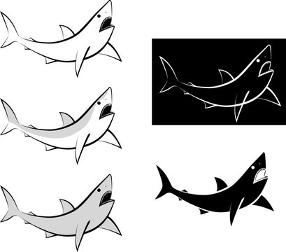 isolated shark - clip art illustration and line art