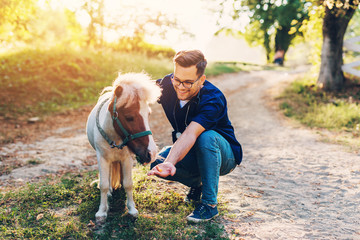 Fototapeta premium Young attractive male veterinarian examining and feeding adorable little pony horse.