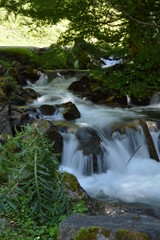 Torrent de montagne