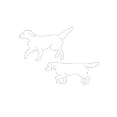 Set of two walking labrador retriever dogs. Isolated on white background. Flat style cartoon stock vector illustration..