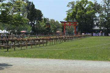 Fototapeta na wymiar 京都、上賀茂神社で行われる賀茂競馬の会場と鳥居の見える風景です