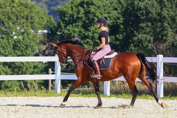 Fototapeta premium Horse with his young blond horsewoman riding in the riding arena in the sunshine..
