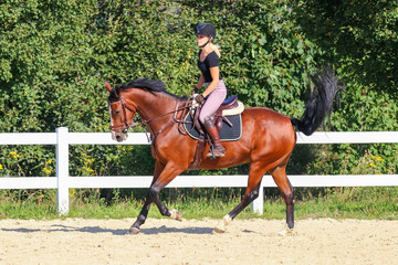 Horse with his young blond horsewoman riding in the riding arena in the sunshine..