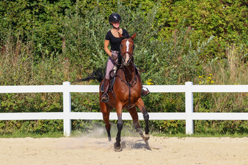 Horse with his young blond horsewoman riding in the riding arena in the sunshine..