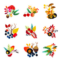 Autumn vector set with leaves andmushrooms. Seasonal fall collection.