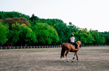 Girl rider trains the horse in the riding course