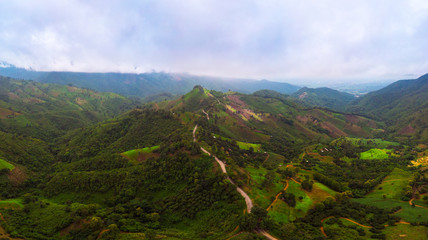 Aerial view Road on the top of a hill with lush greenery The atmosphere of the morning with fog Suitable for driving holiday travel.