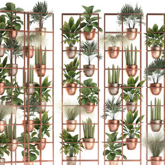 Fototapety  Decorative shelf with copper flower pots, vertical garden