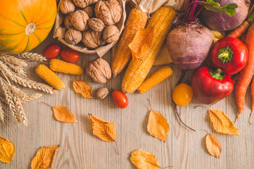 Harvest, Autumn. Still life with Thanksgiving concept. 