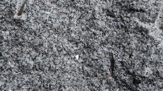 Shale stone : is a fine-grained, clastic sedimentary rock composed of mud that is a mix of flakes of clay minerals and tiny fragments of other minerals, on ground field.