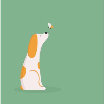 Dog walks on the sun