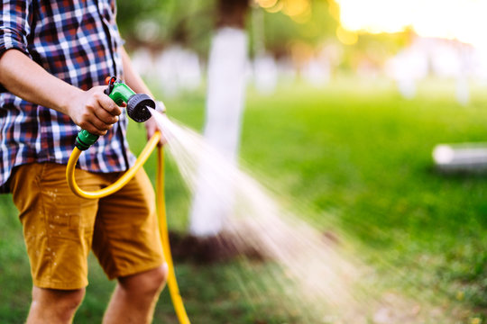 Gardening And Maintainance- Close Up Of Man Hands With Hose Watering The Lawn