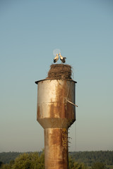 stork's nest on the rusty water tower and moon on background