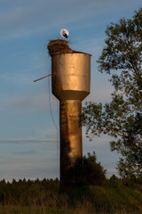 stork's nest on the rusty water tower and moon on background