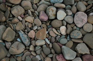 pebbles from lake ontario