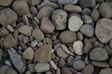pebbles from lake ontario