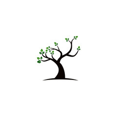 Tree vector icon. logo design elements.