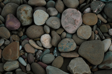 pebbles from lake ontario
