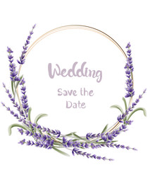 Lavender wreath wedding card vector watercolor. Isolated background. Provence flowers banner