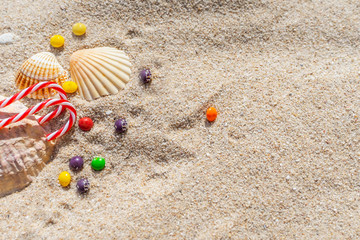 Fototapeta na wymiar candy cane, seashells and colorful chocolate candies on the sandy beach.
