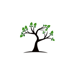 Tree vector icon. logo design elements.