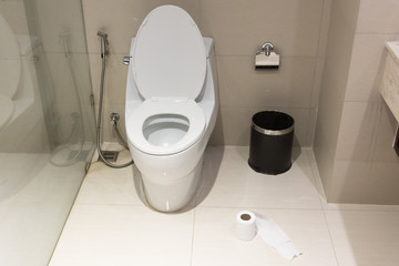 White toilet bowl and tissue paper roll in the bathroom at home.