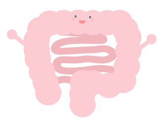 かわいい大腸と小腸