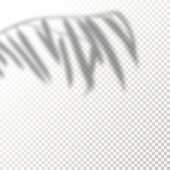 Shadow Overlay Plant Vector Mockup. The transparent Shadows overlay effects Of Tropical Leaf in a modern minimalist style. For presentation Flyer, Poster, blank, logo, invitation
