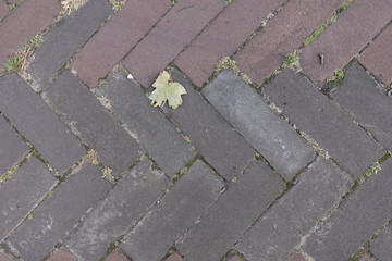 paving stones