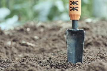 Garden trowel on the ground against the background of soil and green leaves in blur.