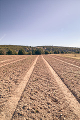 view of the ruts of a tractor in a farm field