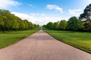 Straight road lined with trees in a park on a clear spring day. People strolling along the road are...