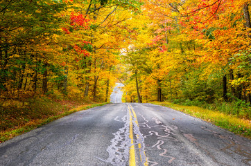 Naklejka premium Country road through a colourful autumn forest in Massachusetts, USA
