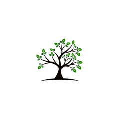 Fototapeta premium Tree vector icon. logo design elements.