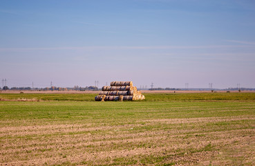 Fototapeta premium Golden Hay Bales in the countryside on a perfect sunny day