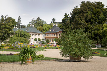 Park zamkowy Pillnitz