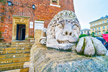 The stone guardian at Town Hall Tower in Krakow, Poland © efesenko