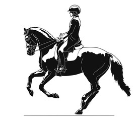 Equestrian, dressage test, extended canter