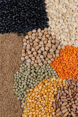 Fiber source examples