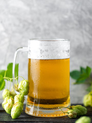 Glass mug of light beer on a gray background with green hops closeup
