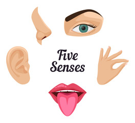 Five senses icon set: sight, hear, smell, taste, touch. Beautiful flat vector illustration: ear, mouth with tongue, nose, ear, eye, hand with fingers, lips. Human sense organs. Feels and sensations.
