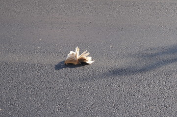 открытая страница