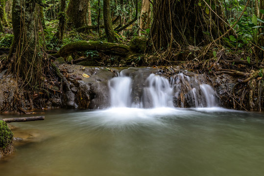 รูปภาพManora – เลือกดูภาพถ่ายสต็อก เวกเตอร์ และวิดีโอ559 | Adobe Stock