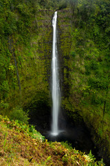 Fototapeta na wymiar HAkaka Falls Hawaii